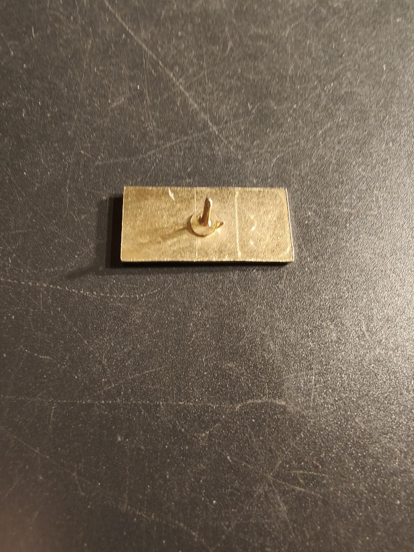 老王徽章第166期 美国越战第196步兵团徽章