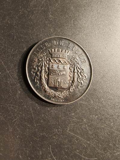 老王徽章第166期 - 法国里尔市议会大银章    950银    直径36mm.   重量22.6g