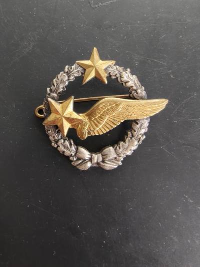 老王徽章第166期 - 法国空军学员飞行员证章