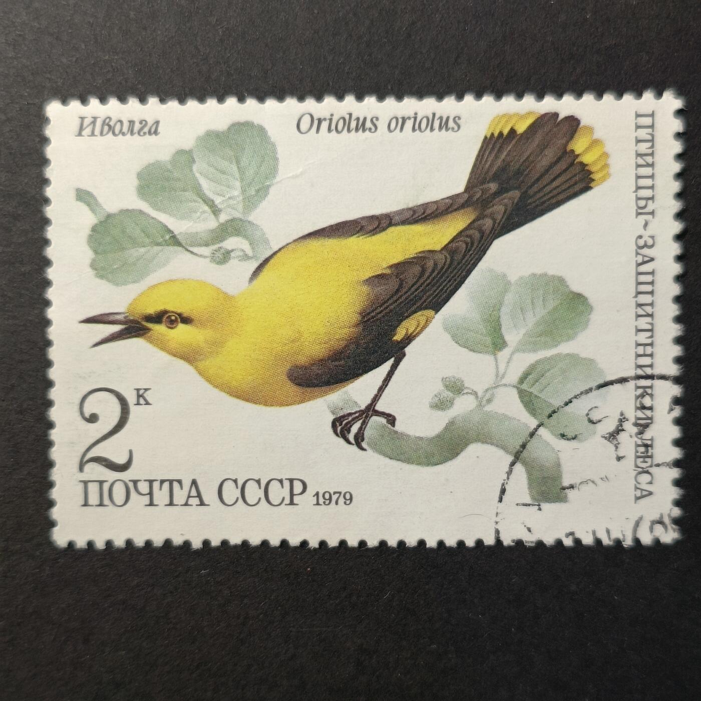 嘉禾收藏    【第390期】            无佣金、可寄存、满30元包邮 苏联邮票