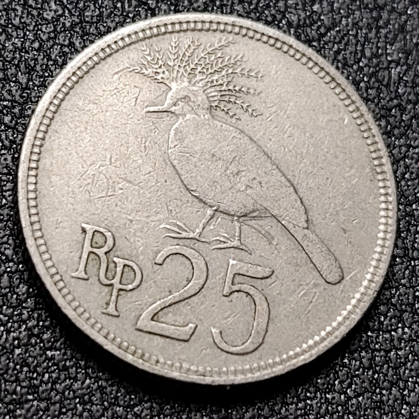 泉币菌-第141场-精品福利场（之前场次29日、30日发货，敬请谅解） 。