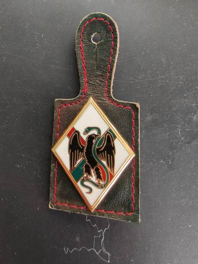 老王徽章第166期 - 法国外籍军团第1步兵团证章