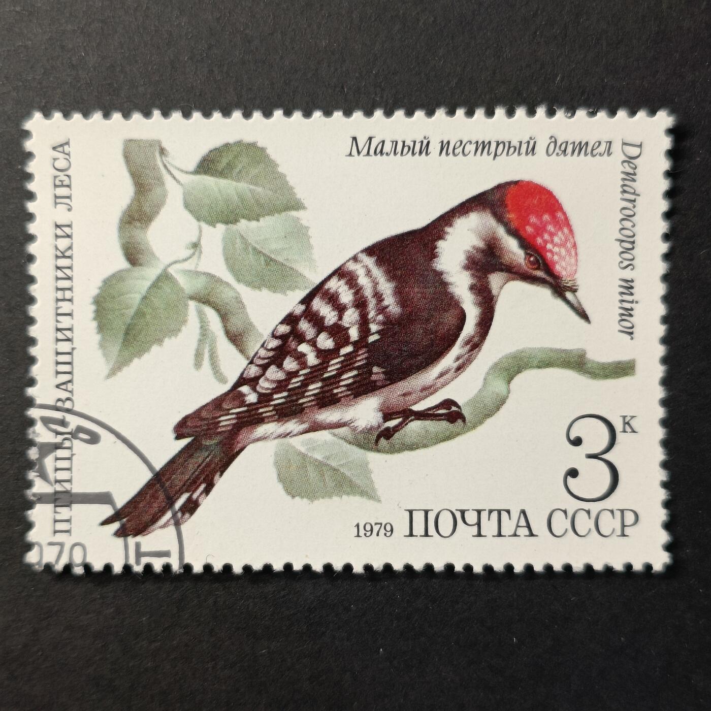 嘉禾收藏    【第390期】            无佣金、可寄存、满30元包邮 苏联邮票