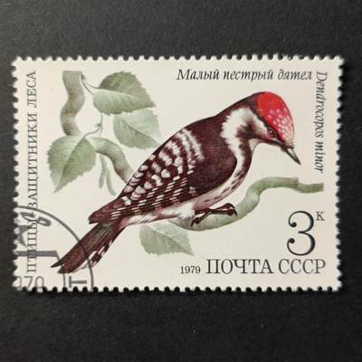 嘉禾收藏    【第390期】            无佣金、可寄存、满30元包邮 - 苏联邮票