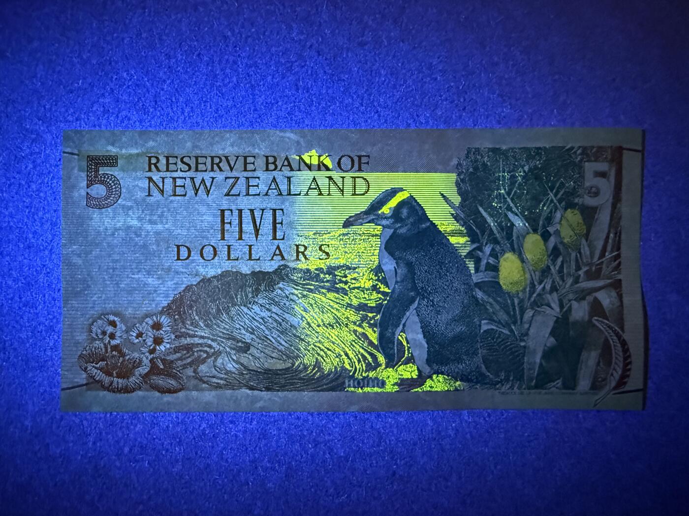 《艾美收藏》第222期-11.30周日外币畅拍 新西兰5元 UNC 1992年 黄眼企鹅