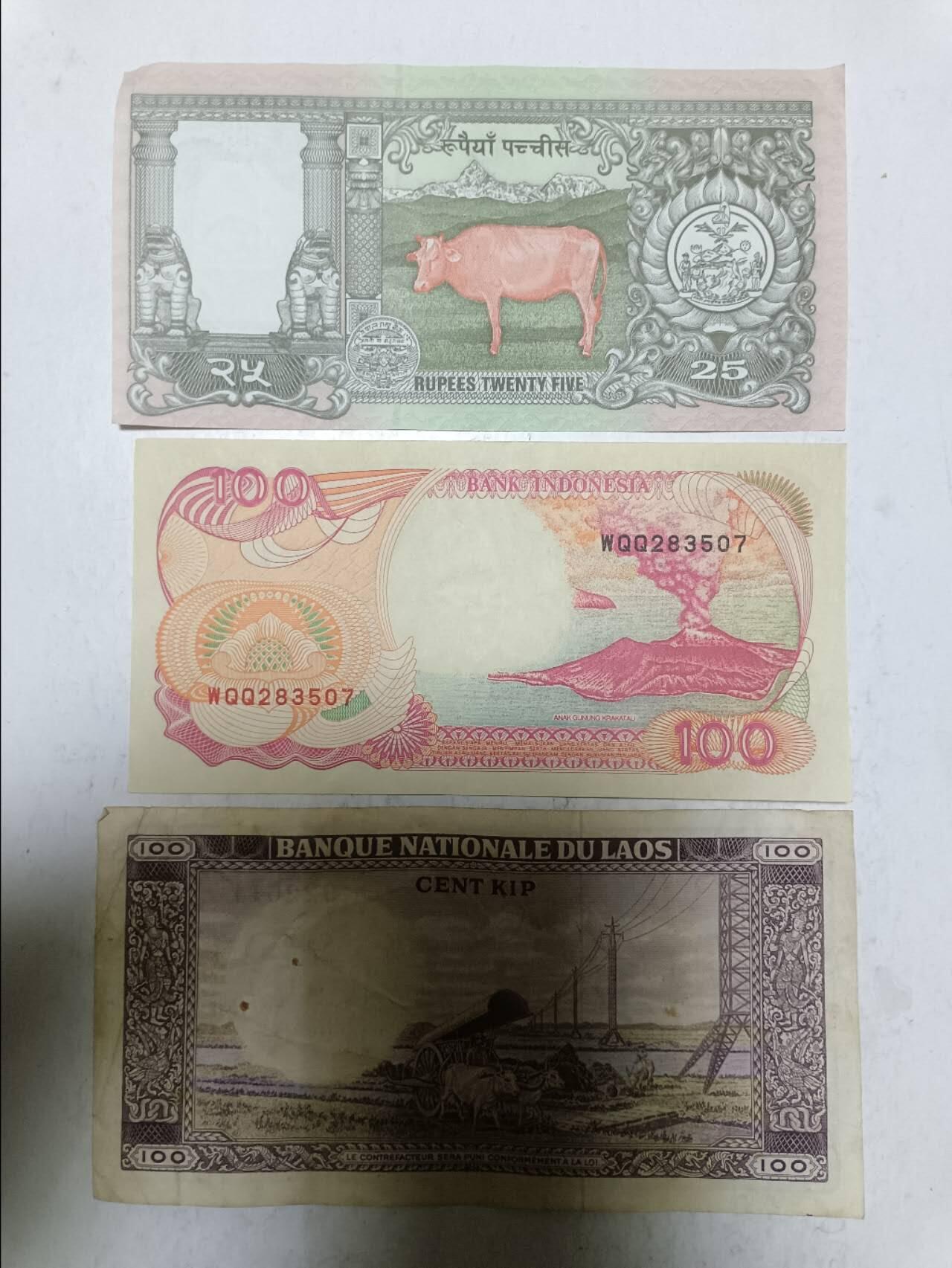 【20251203】非全新纸币第309场