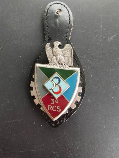 老王徽章第166期 - 法国第3指挥与支援团证章