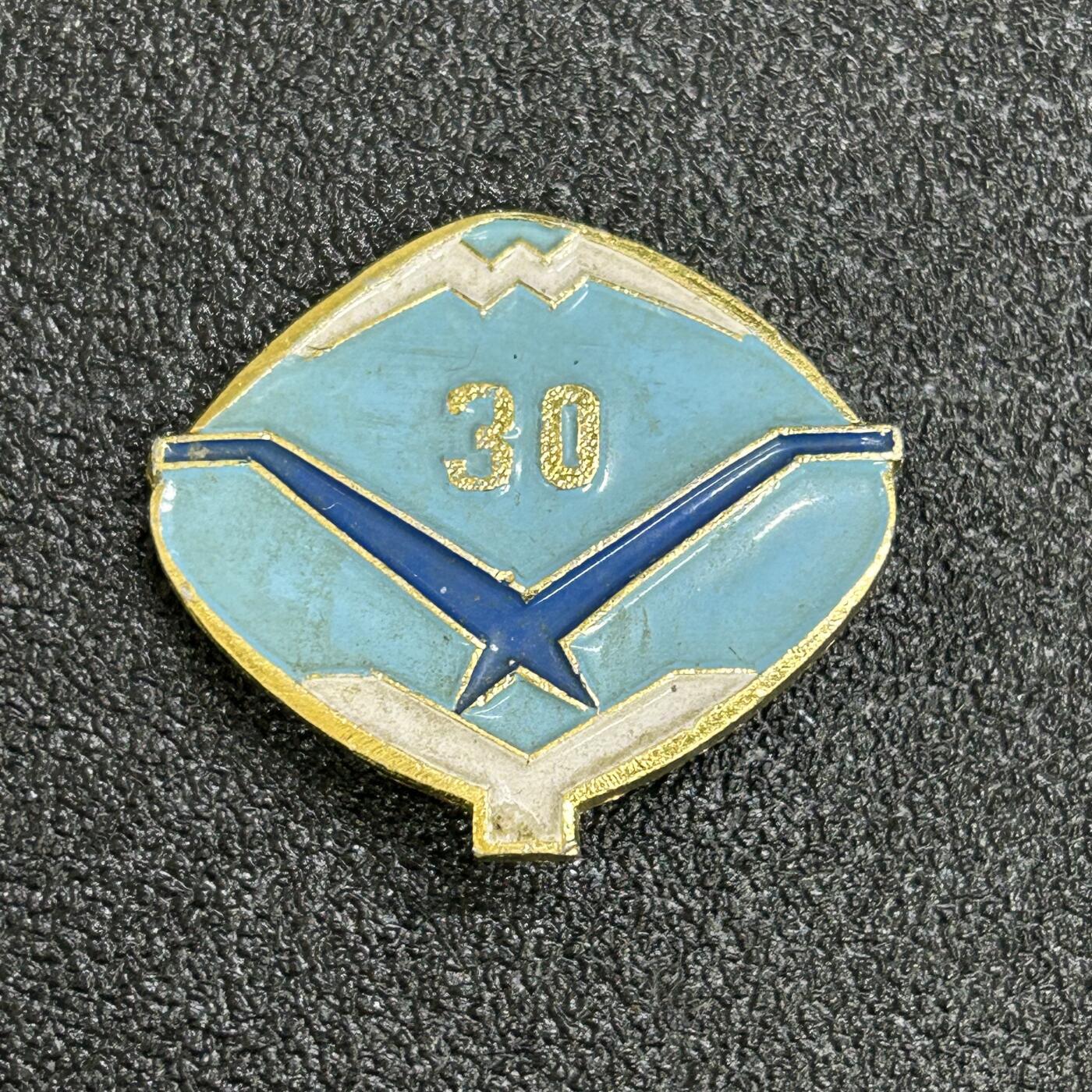 西秦中古拍卖第六十七期 1986年新疆医学院成立30周年纪念章 新疆医科大学