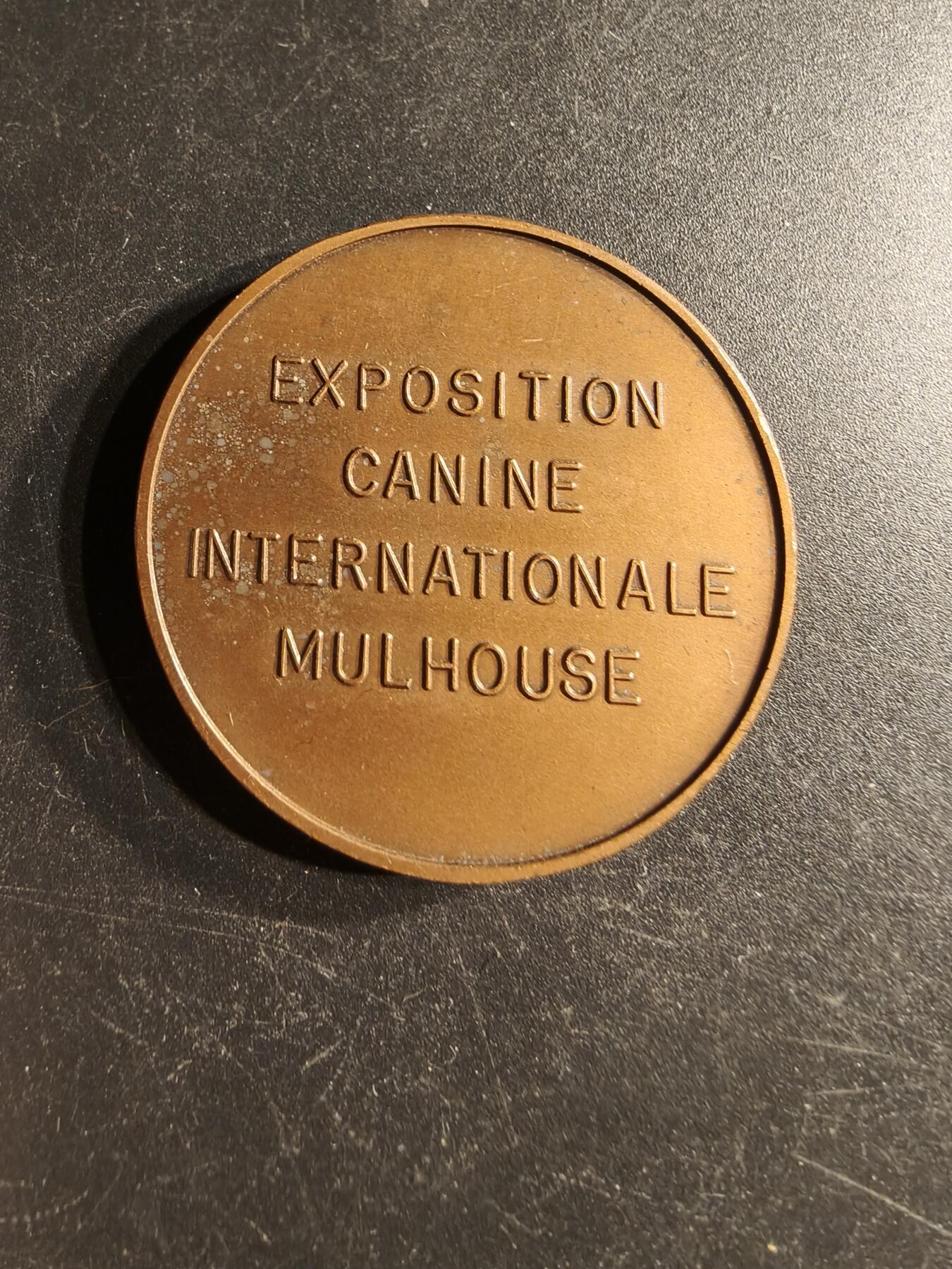 老王徽章第166期