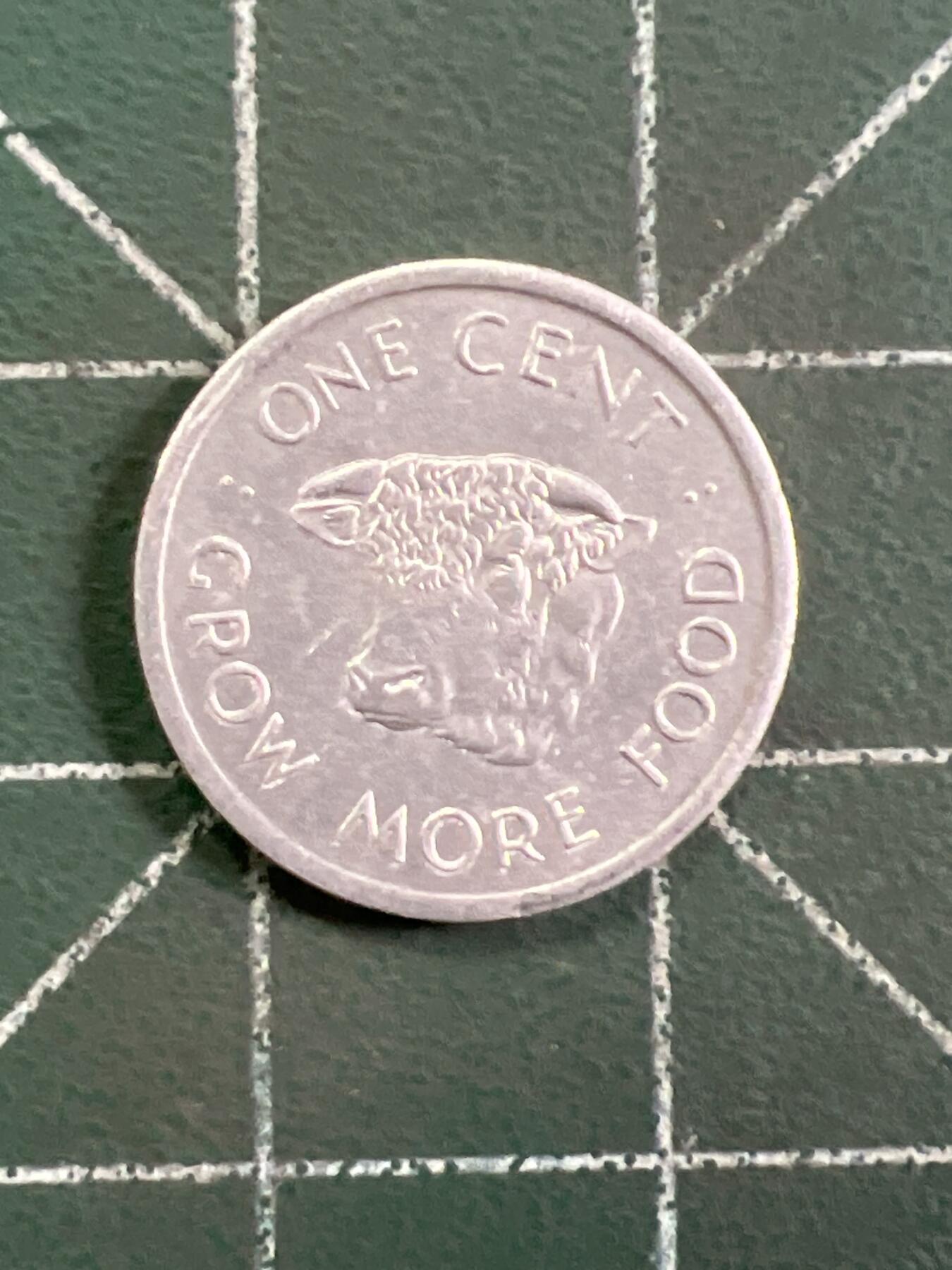 第1059 硬币专场 （无押金，捡漏，全场50包邮，偏远地区除外，接收代拍业务，本店十天发一次货） 英属马恩岛 1 便士  最小面值