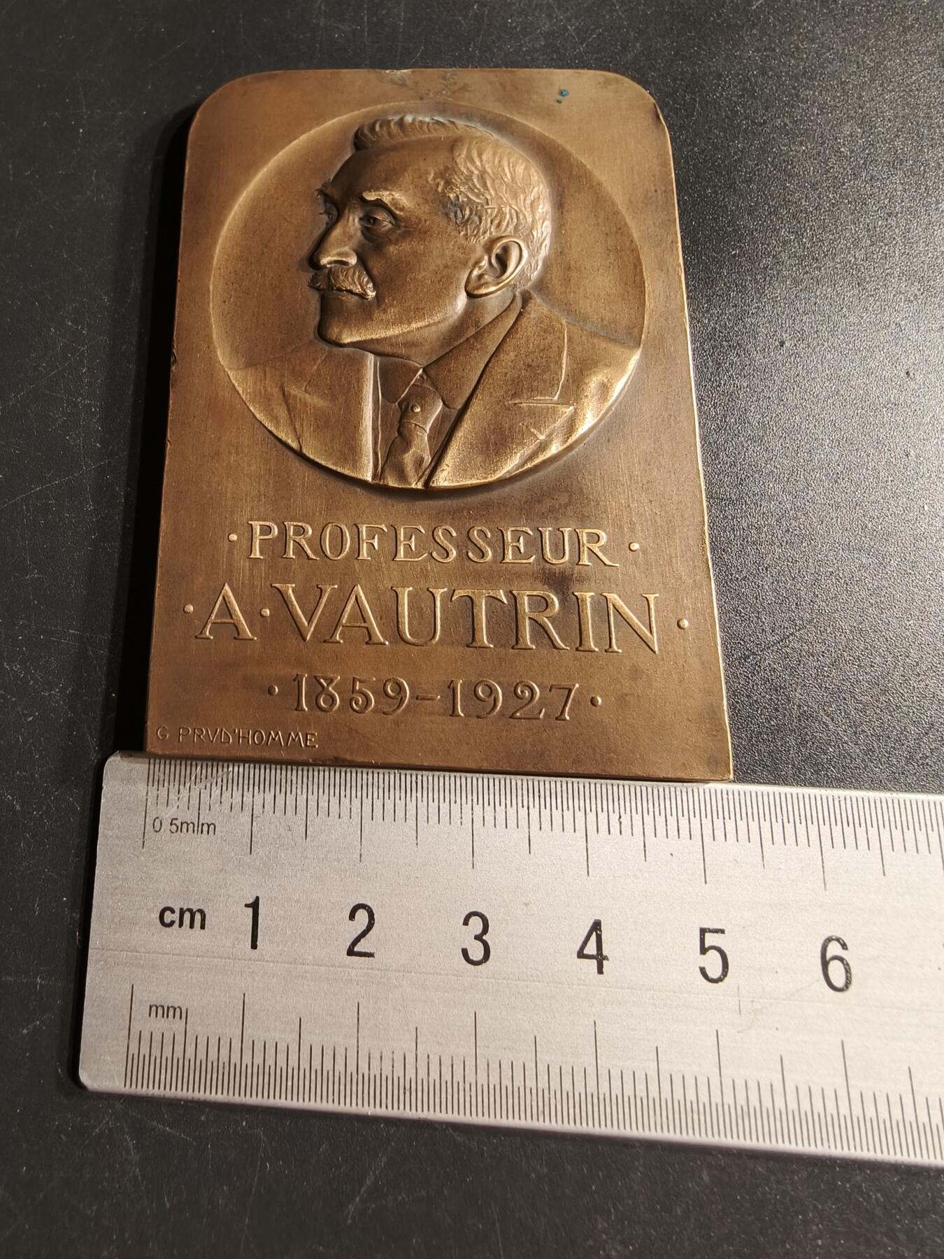 老王徽章第166期 法国南锡临床医疗协会A·沃特林教授方向大铜章    大师普鲁多姆作品    尺寸75×52mm.    重量113.7g