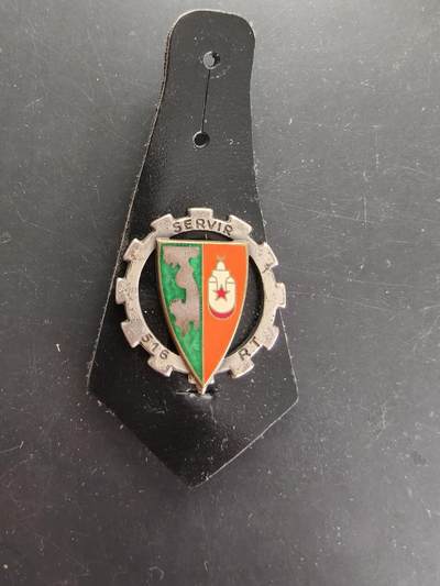 老王徽章第166期 - 法国第516运输团证章