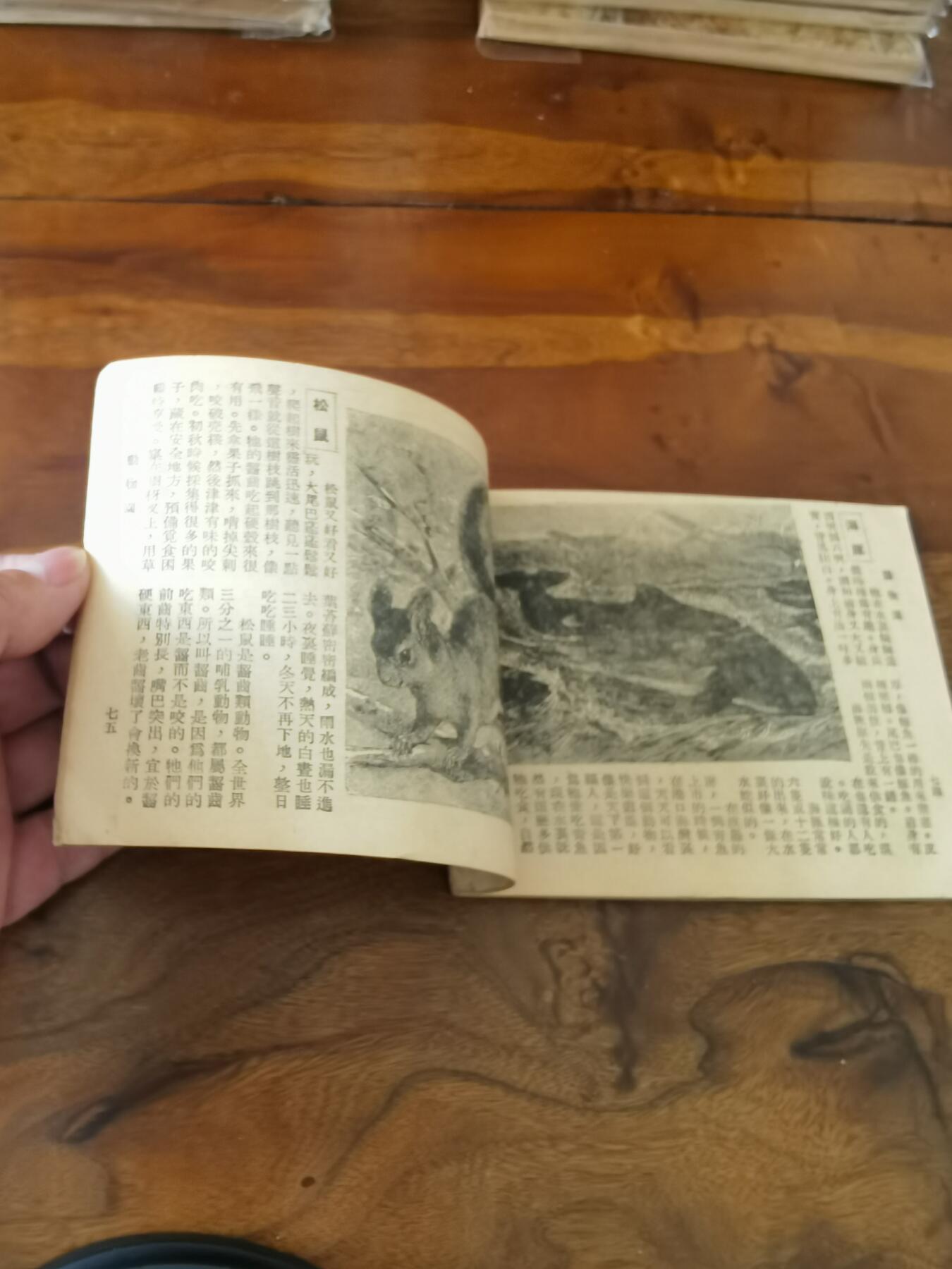 2026年2月22日连环画拍卖会 动物园知识连环图画1951年60开