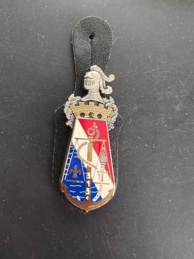 老王徽章第166期 - 法国国家宪兵队第313营证章