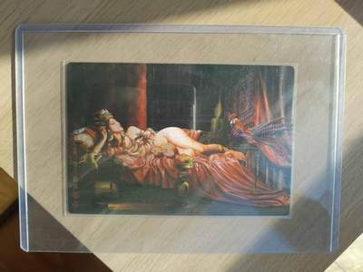 龙虎卡牌六五场 （无佣金，周六结拍，欢迎送拍） - 粗闪大卡 张墨一-妲己(153mmX103mm)