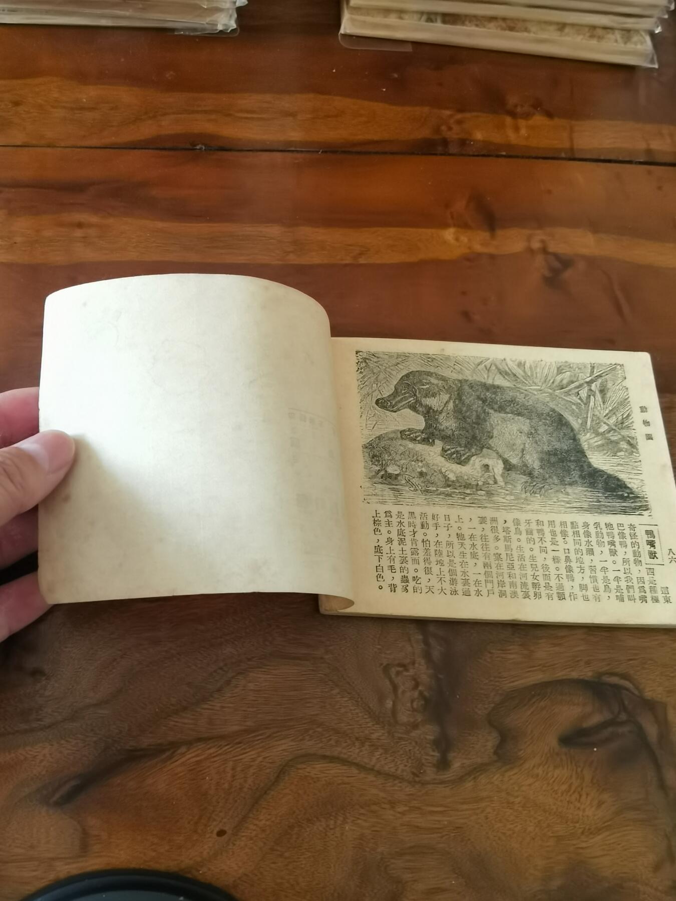 2026年2月22日连环画拍卖会 动物园知识连环图画1951年60开