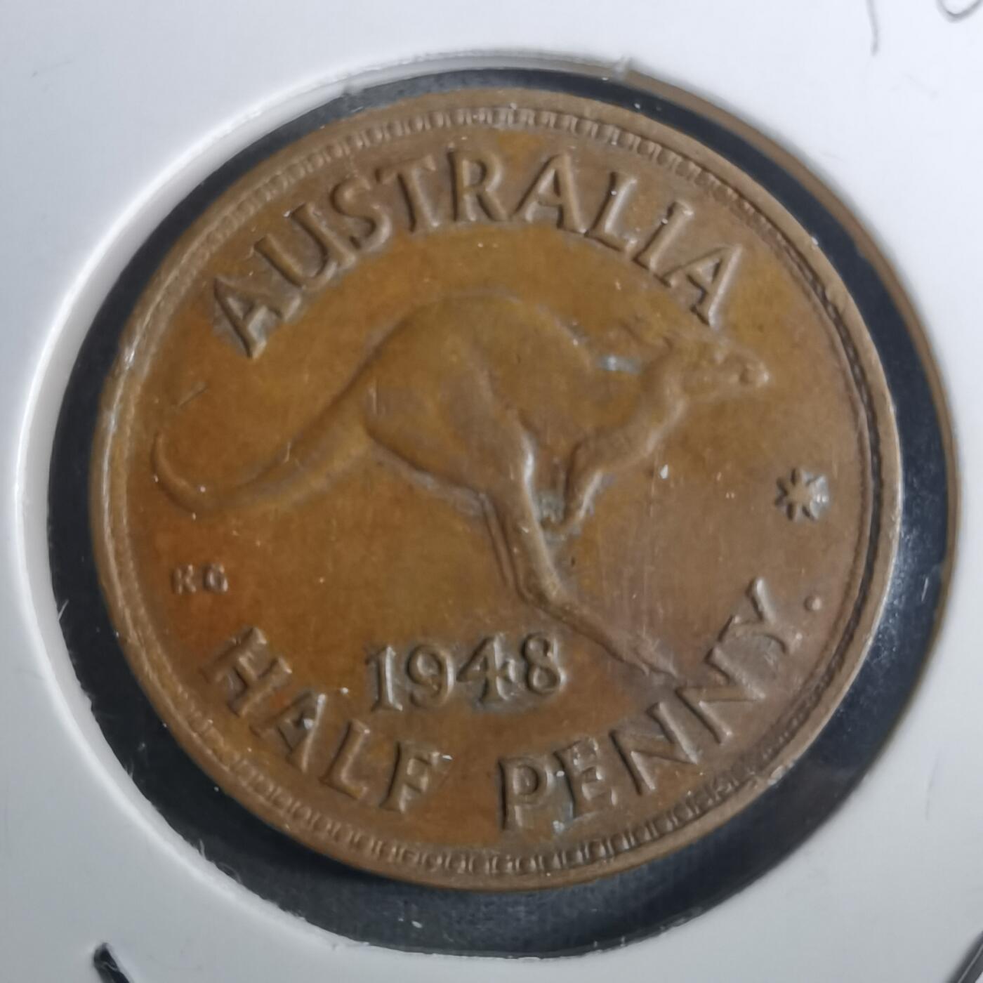 沼泽如烟--第916场