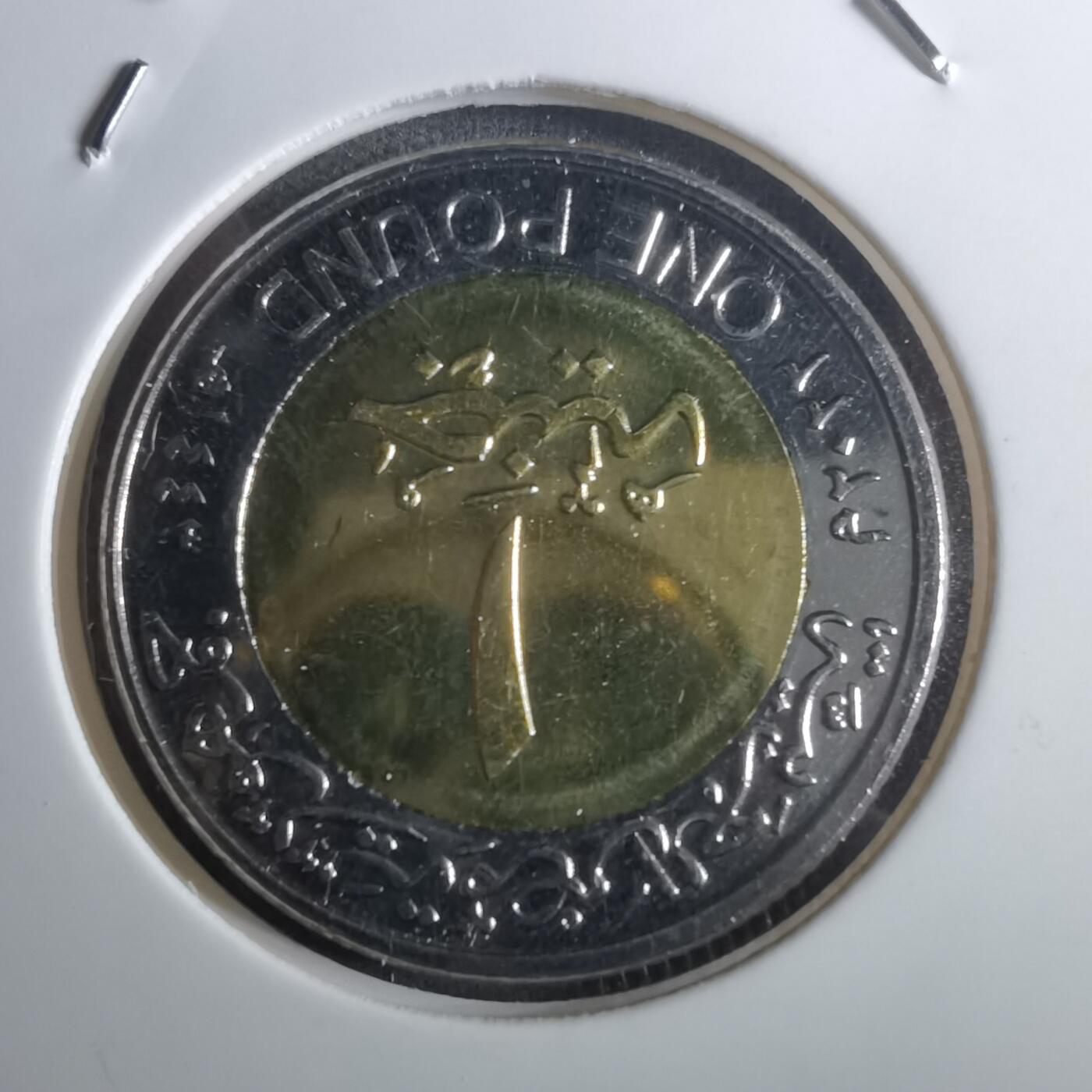 沼泽如烟--第916场 埃及