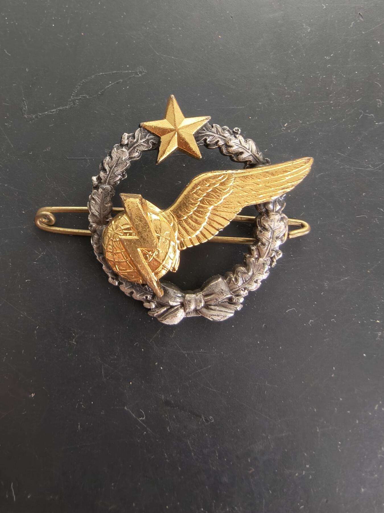 老王徽章第166期 法国空军学员空中观察员证章