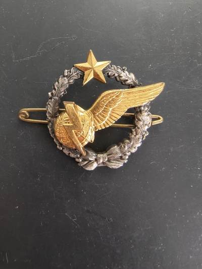 老王徽章第166期 - 法国空军学员空中观察员证章