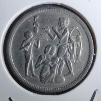 沼泽如烟--第916场 - 埃及纪念币