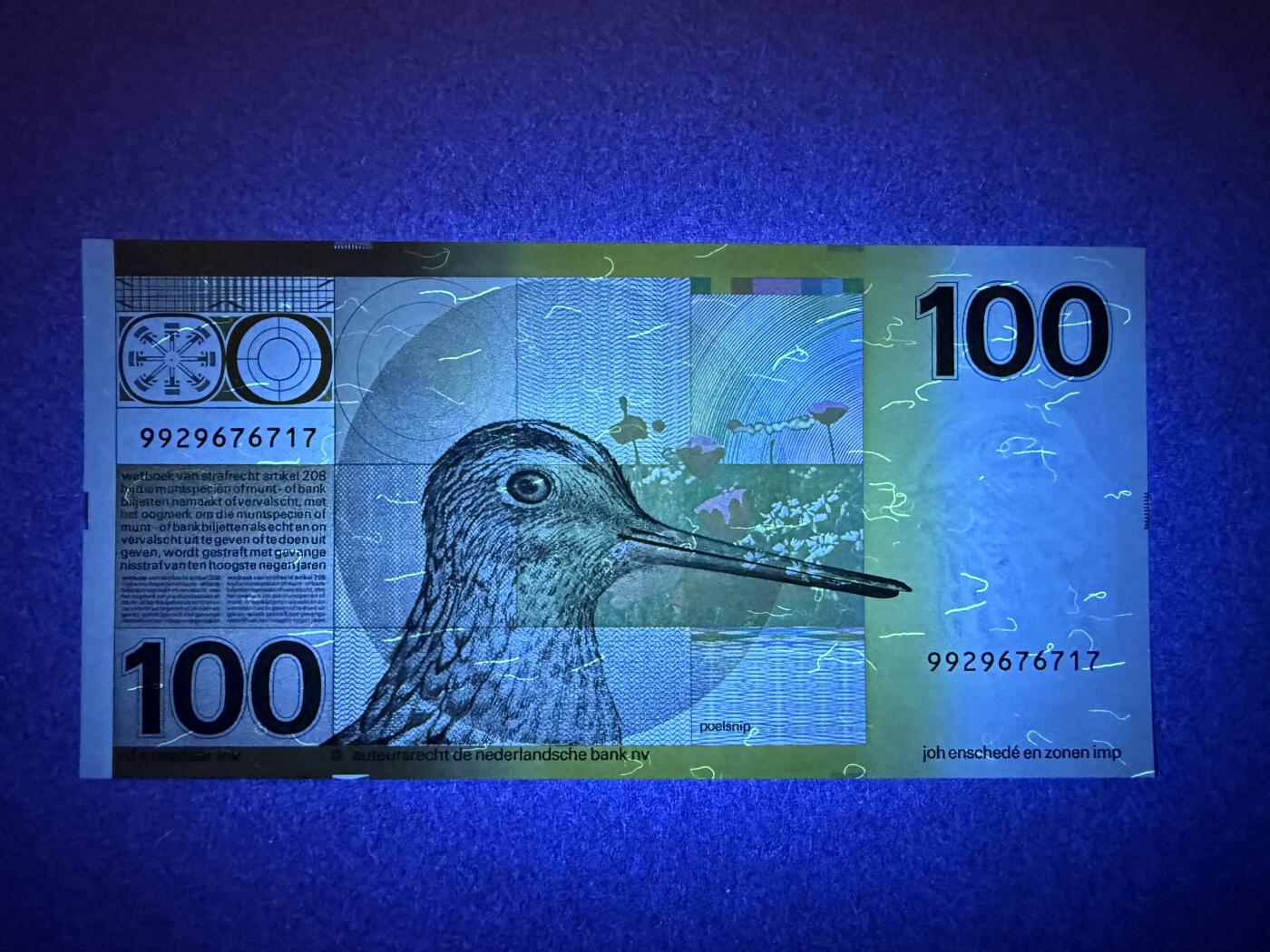 《艾美收藏》第222期-11.30周日外币畅拍 荷兰100盾 UNC 1977年 经典水鸟 无4