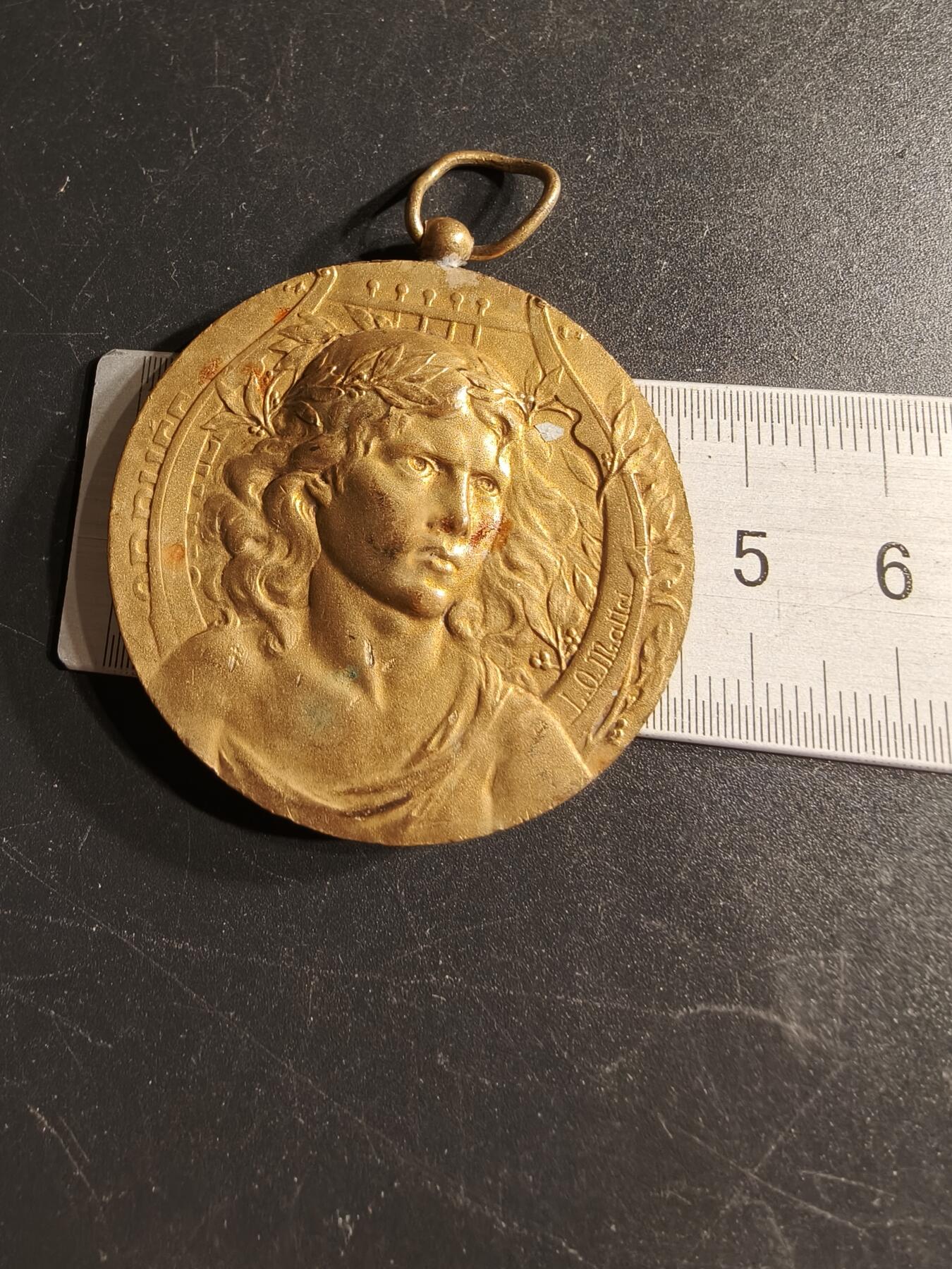 老王徽章第166期 法国孚日体育联盟镀金铜奖章     直径46mm.    重量38.7g