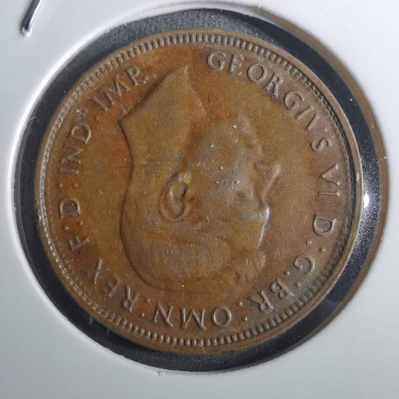 沼泽如烟--第916场