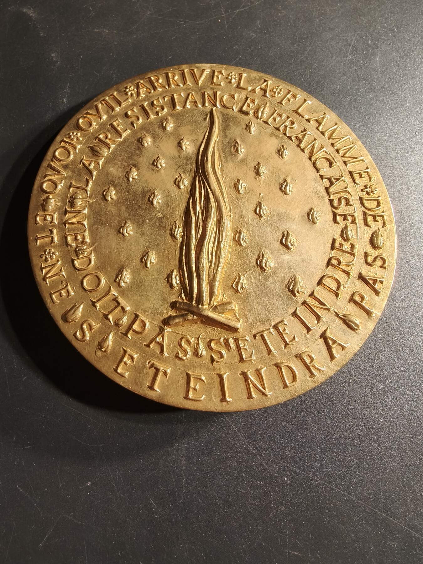 老王徽章第166期 法国二战抵抗运动自由法国全国委员会镀金大铜章    原盒，盒子有损     少见超大尺寸     直径90mm.    重量742.8g