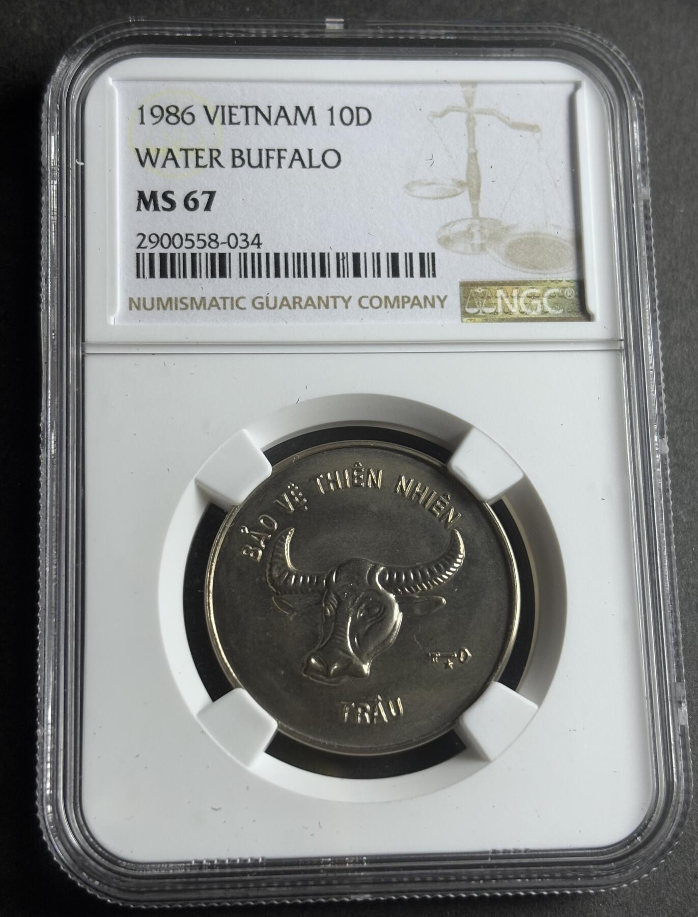 文馨钱币收藏第 283 场，【大雪鉴珍，寒英缀金】金银纪念币精品场，诚邀您的参与【长期接代拍品】 稀少 1986 年越南大水牛 10 盾纪念币，NGC 评级 MS67 分
