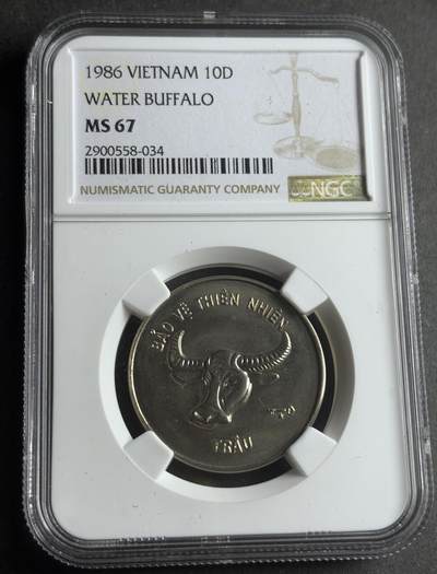 文馨钱币收藏第 283 场，【大雪鉴珍，寒英缀金】金银纪念币精品场，诚邀您的参与【长期接代拍品】 - 稀少 1986 年越南大水牛 10 盾纪念币，NGC 评级 MS67 分