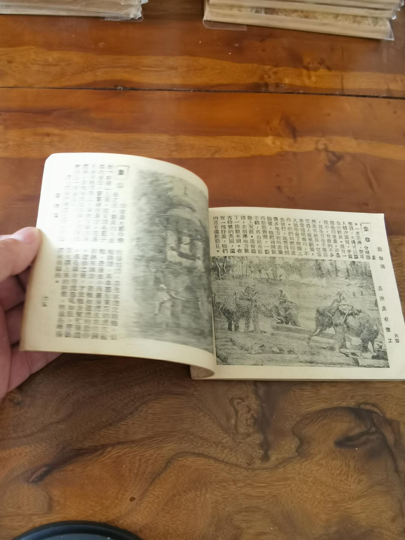 2026年2月22日连环画拍卖会 动物园知识连环图画1951年60开