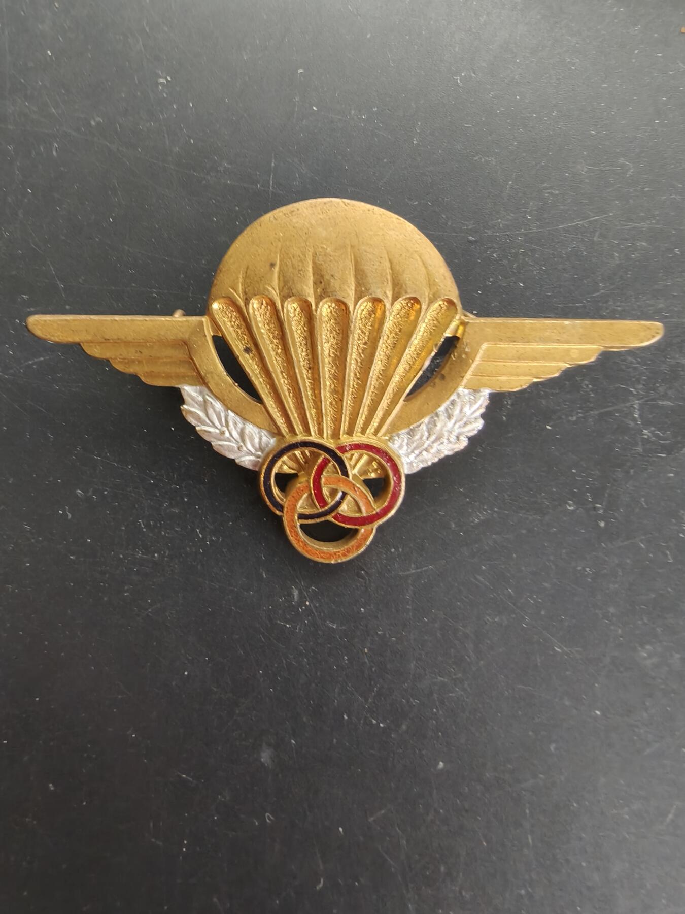 老王徽章第166期 法国空降兵伞降教官证章