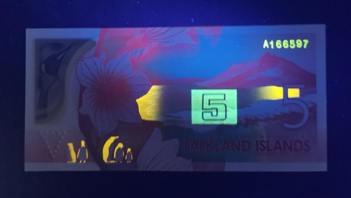 《艾美收藏》第222期-11.30周日外币畅拍 福克兰岛2025年AA冠5镑UNC无4 颜值很高 IBNS本年度世界最佳纸币提名