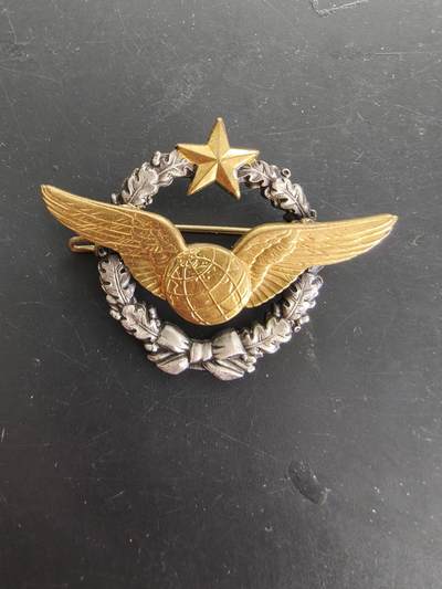 老王徽章第166期 - 法国空军领航员证章
