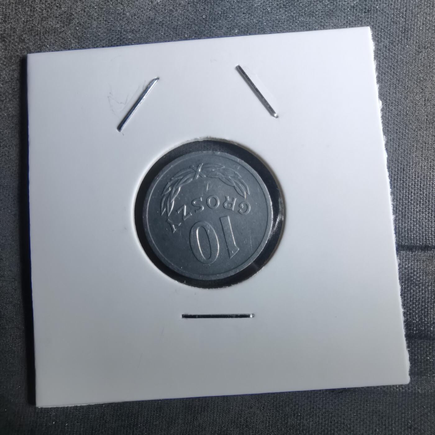 沼泽如烟--第916场