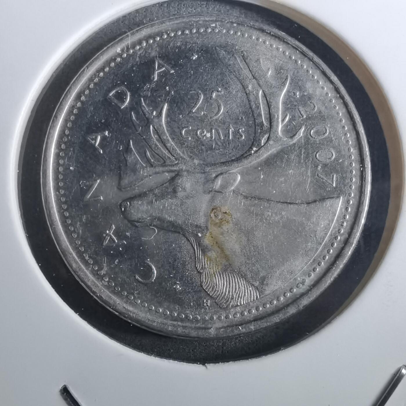 沼泽如烟--第916场