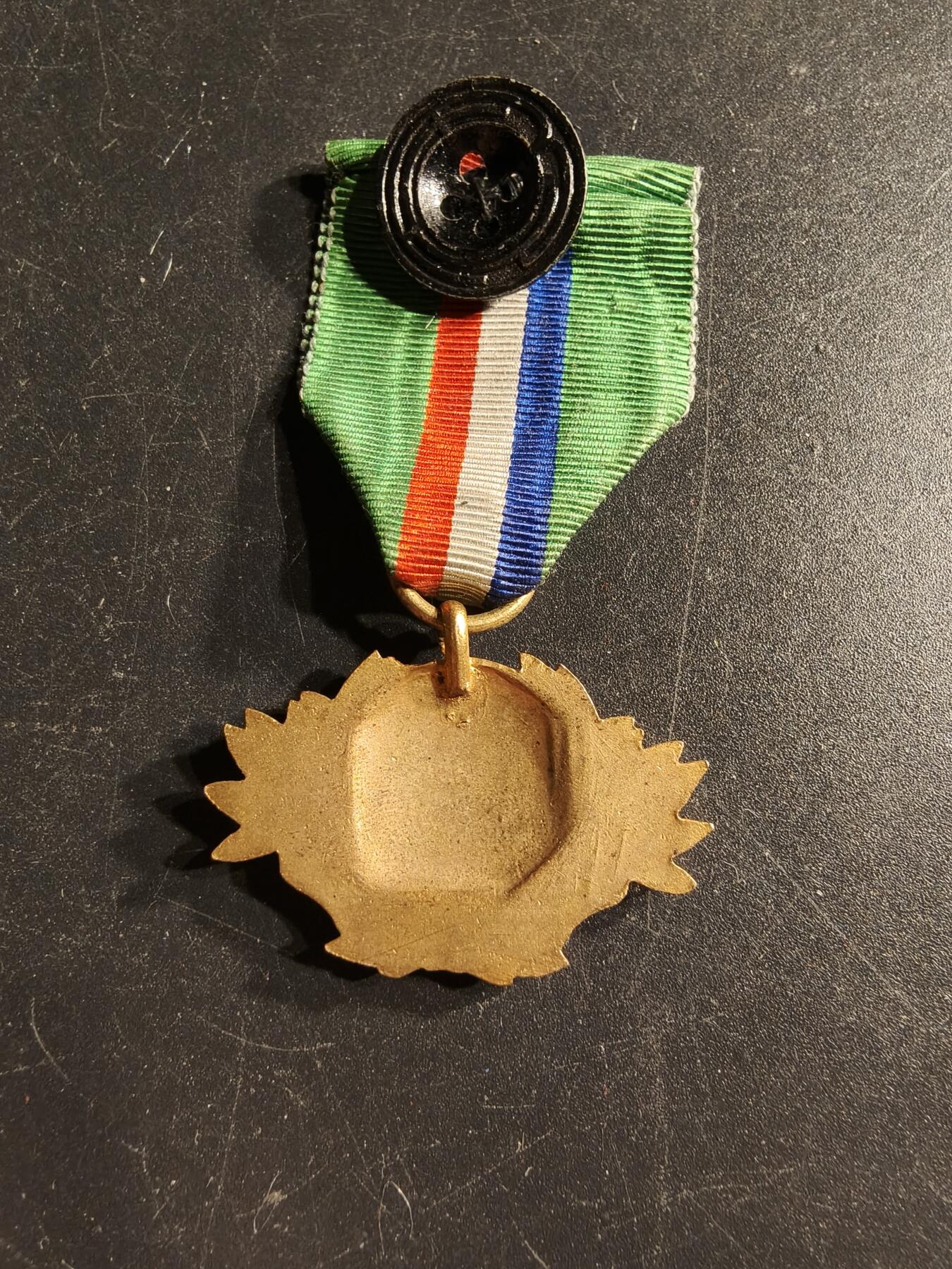 老王徽章第166期 法国二战老兵协会奖章