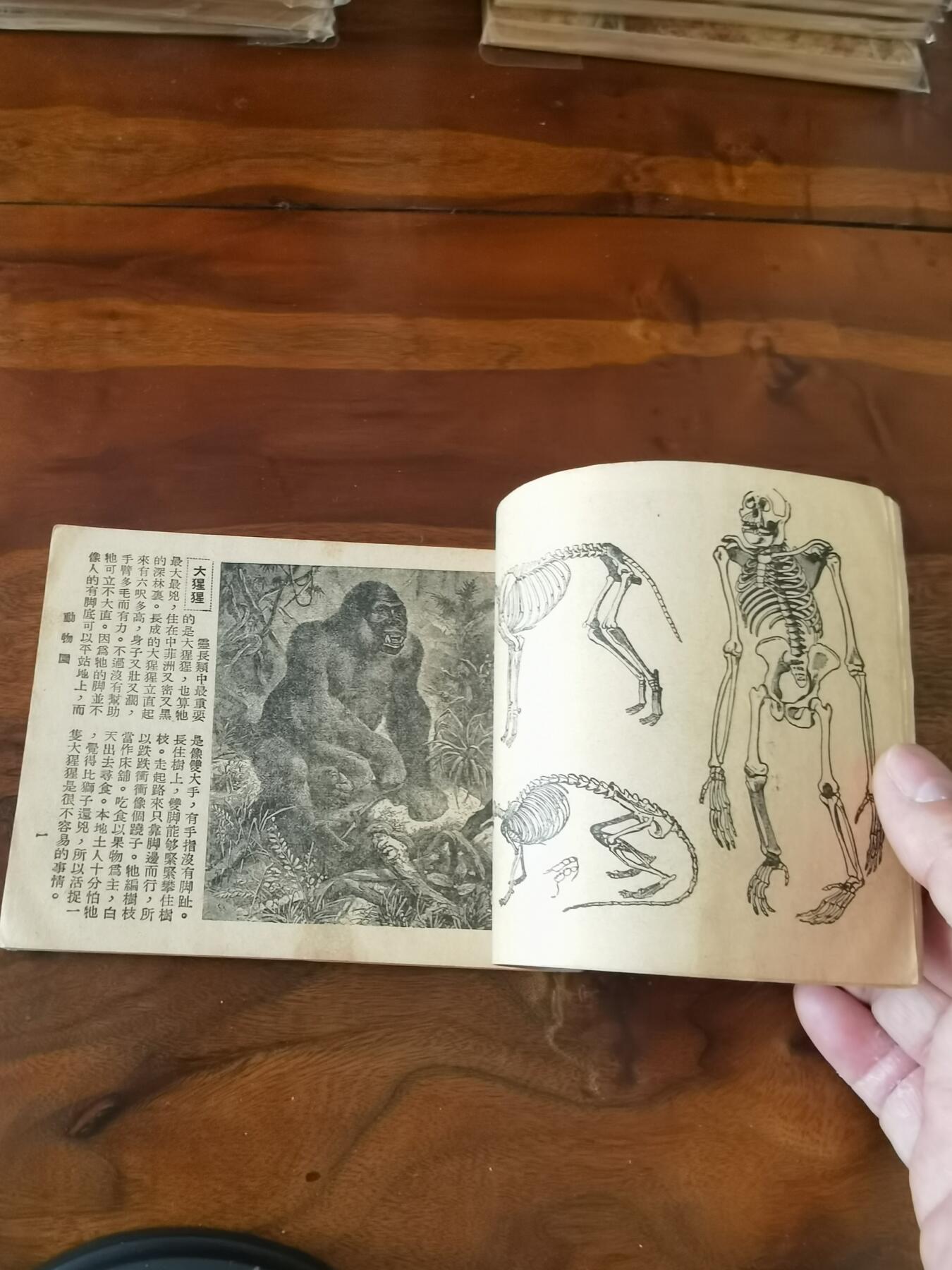 2026年2月22日连环画拍卖会 动物园知识连环图画1951年60开