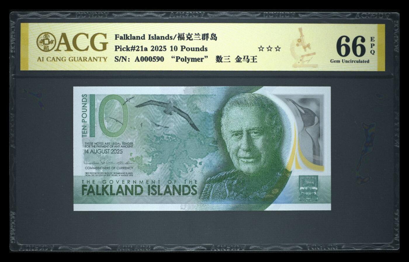 《艾美收藏》第222期-11.30周日外币畅拍 福克兰岛2025年AA冠10镑爱藏评级数三百位590号金马王 全新品相 配色典雅 颜值很高