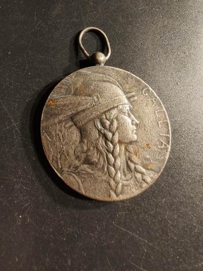 老王徽章第166期 - 法国“高卢人”镀银铜奖章     大师皮列作品     直径41mm.    重量32.2g