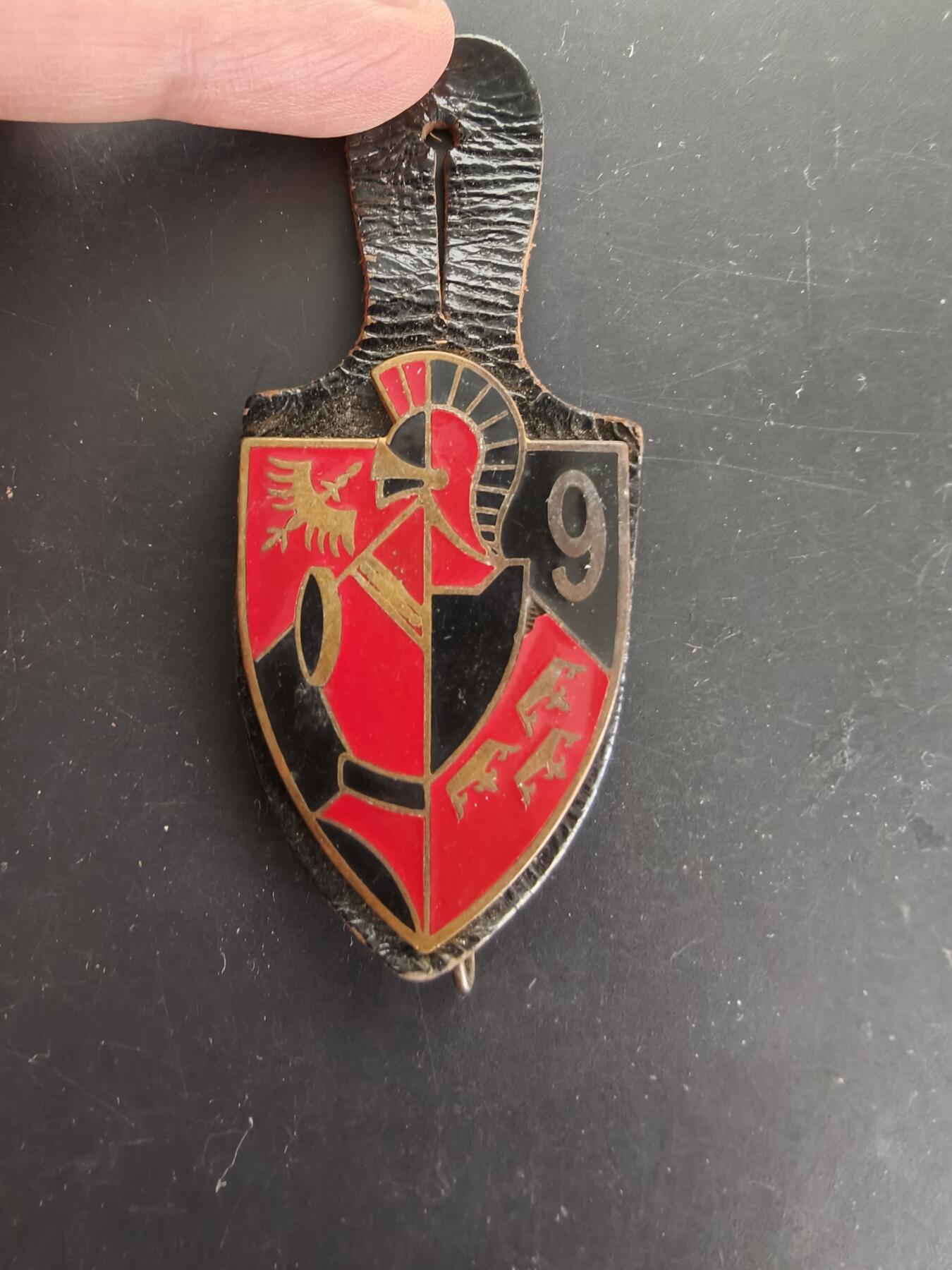 老王徽章第166期 法国第9工兵团证章