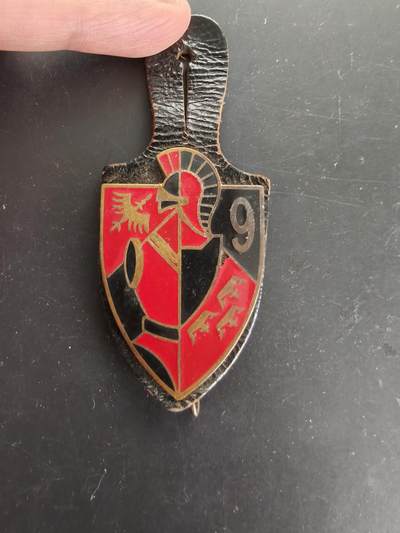 老王徽章第166期 - 法国第9工兵团证章