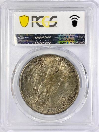 USA 美国 1美元 和平鸽 1921年 高浮雕  PCGS-MS63
