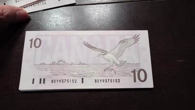 世界钱币～微拍第217期暨2025年第57期  近日新到货品少量 以及老库存一些 - 1989年加拿大10元 鸟版全新绝品无4尾号152