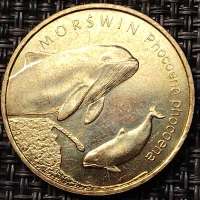 布加迪🐬～世界钱币(上海)🌾第 262 期 /  各国套币和散币 - 波兰🇵🇱 2004年 2兹罗提纪念币