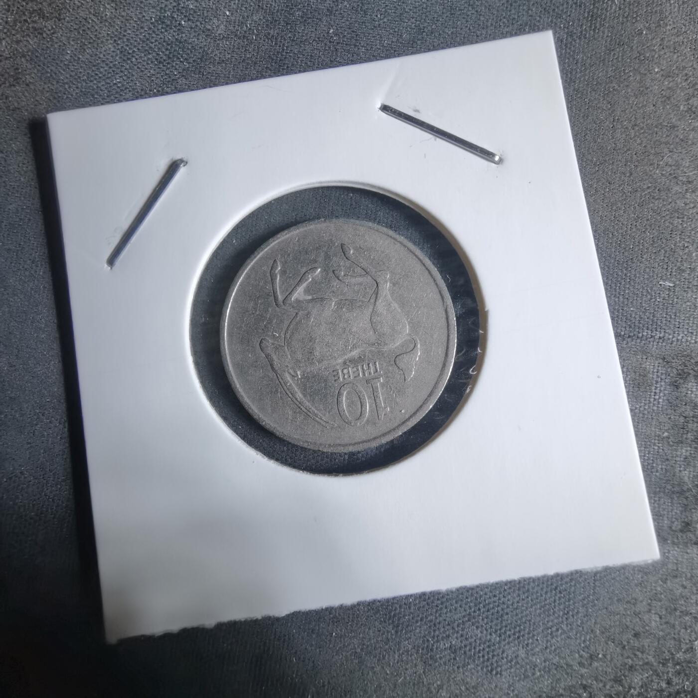 沼泽如烟--第917场