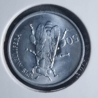 沼泽如烟--第917场 - 斯洛文尼亚1995年50分