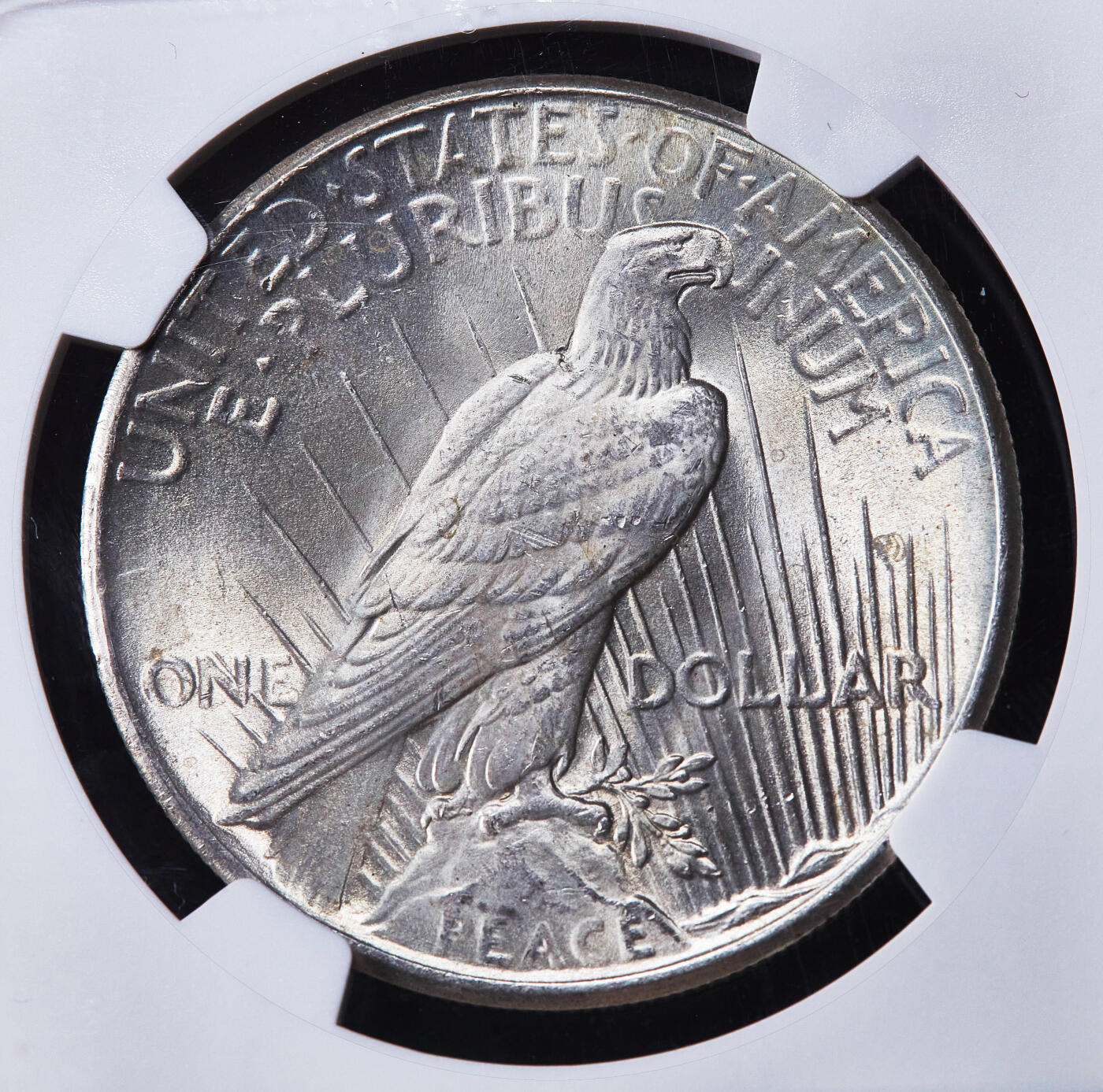 【俄甄集藏】2025年(045)12-03 星期三 晚 19:30 全场包邮 美国1925年和平1美元大银币，NGC MS63，原味状态，车轮转光，少见年份