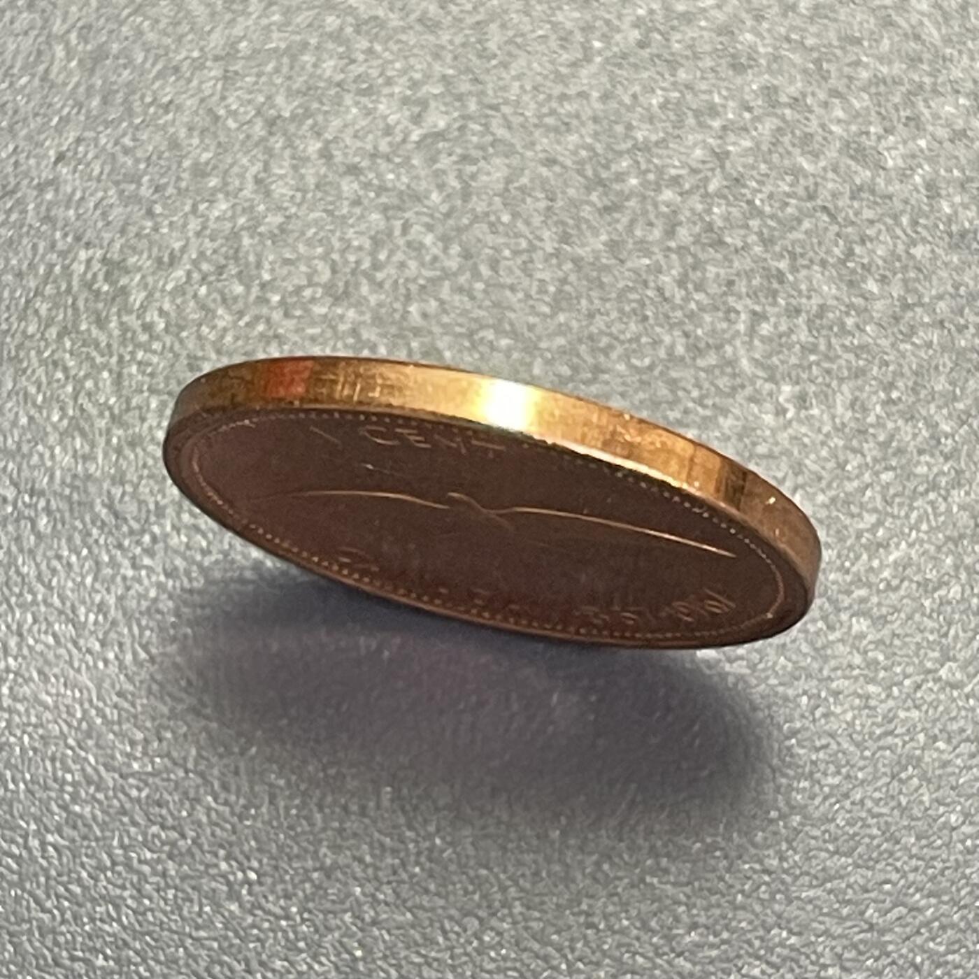 回流1130 全新 加拿大1967年1分 加拿大联邦成立100周年 旅鸽（已灭绝）